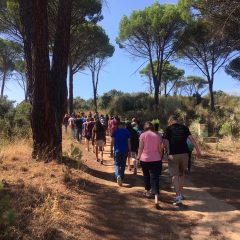 ECA Service Project Days